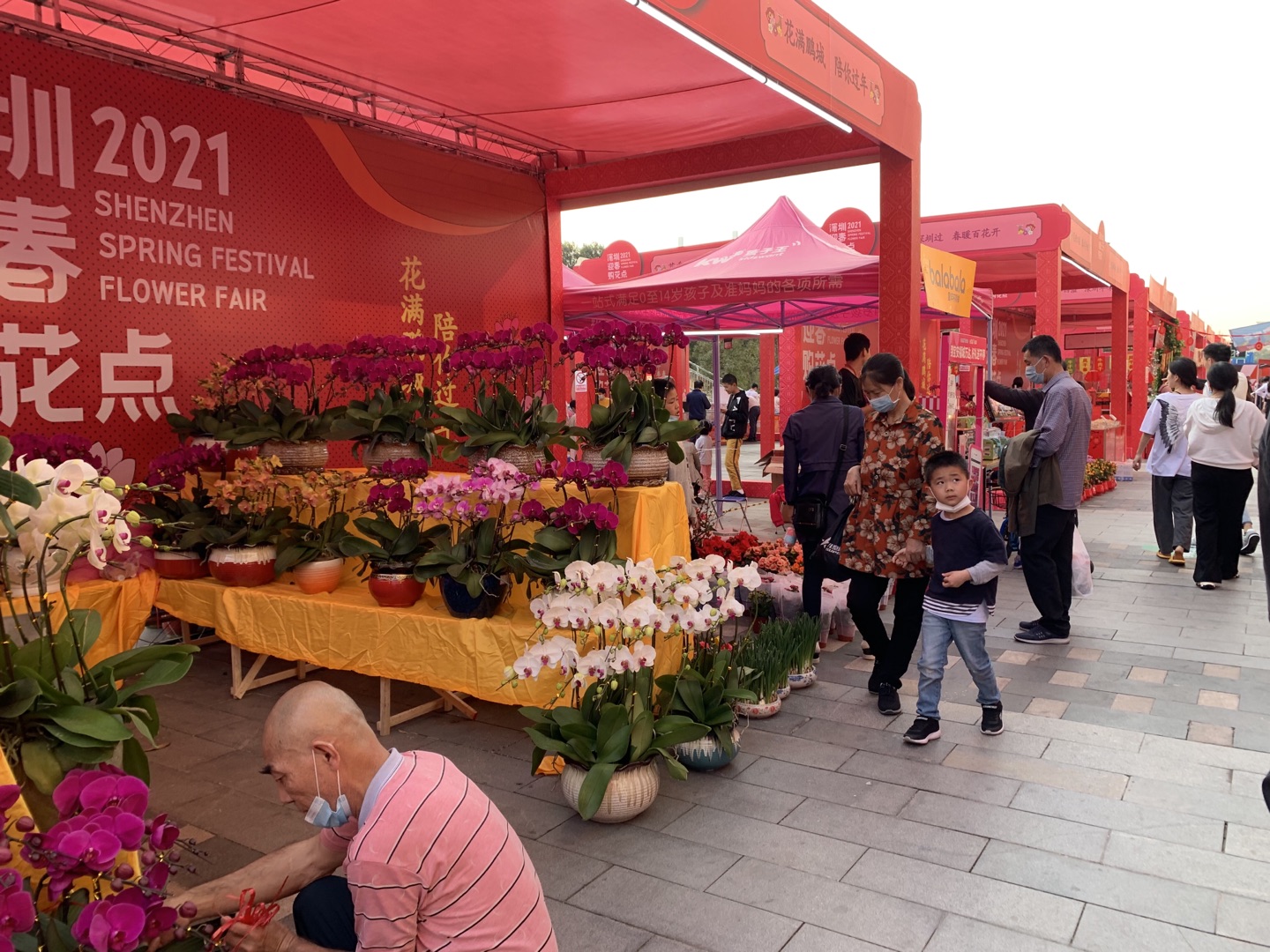 年货节兰花售卖快闪活动-深圳宝安福城万达广场