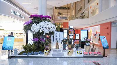 韶关兰花推广-广州万菱汇